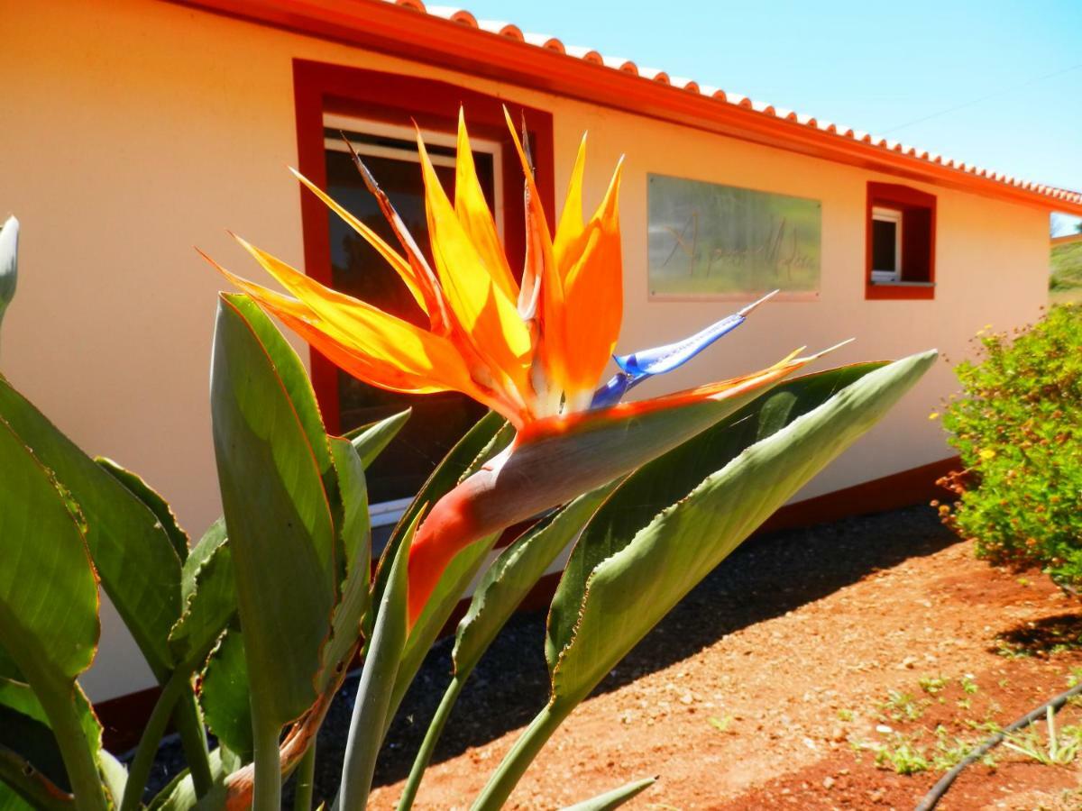 Au Petit Madere Villa Prazeres Exteriör bild
